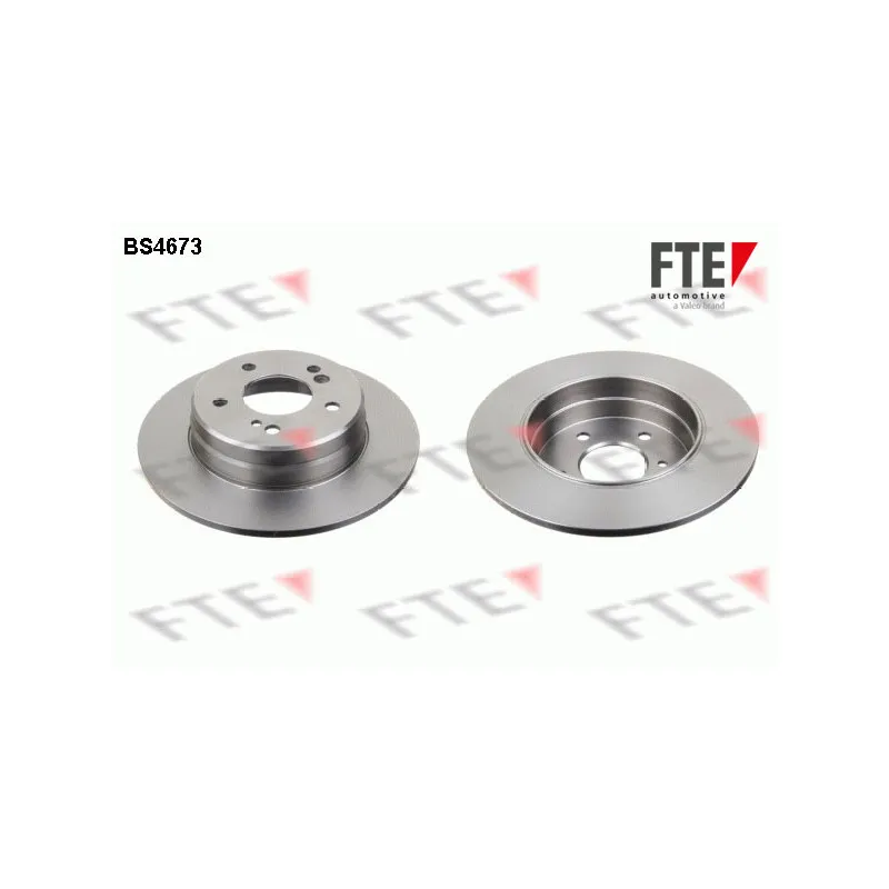 Jeu de 2 disques de frein arrière FTE BS4673