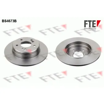 Jeu de 2 disques de frein arrière FTE BS4673B