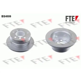 Jeu de 2 disques de frein arrière FTE BS4699