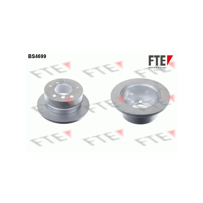 Jeu de 2 disques de frein arrière FTE BS4699