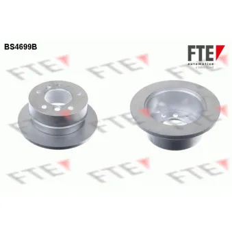 Jeu de 2 disques de frein arrière FTE BS4699B