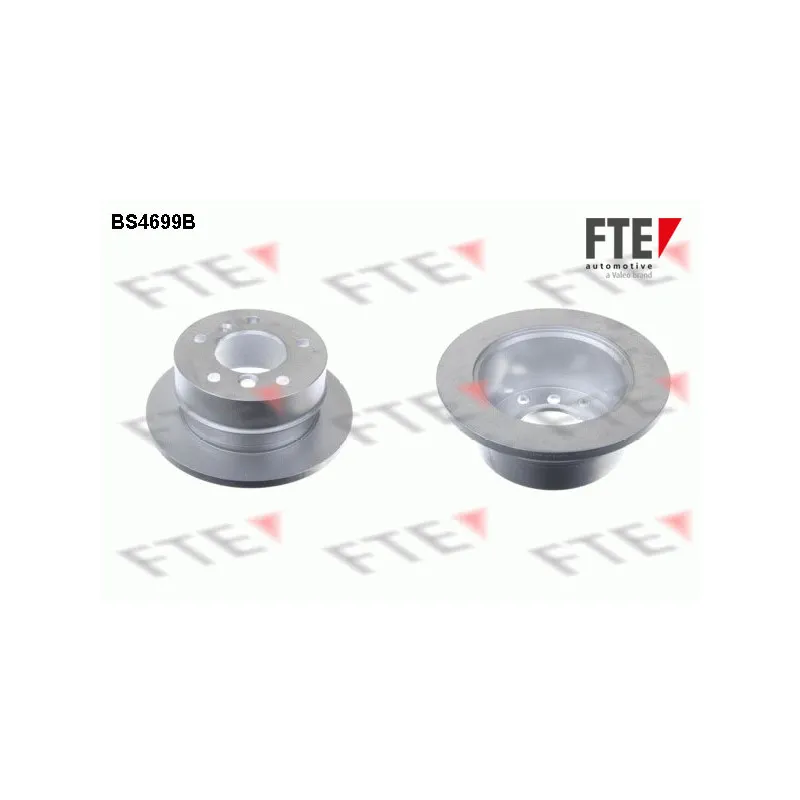 Jeu de 2 disques de frein arrière FTE BS4699B
