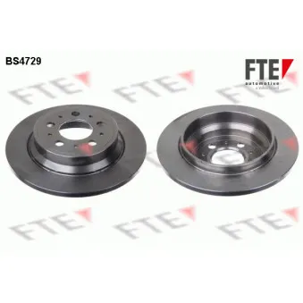 Jeu de 2 disques de frein arrière FTE BS4729