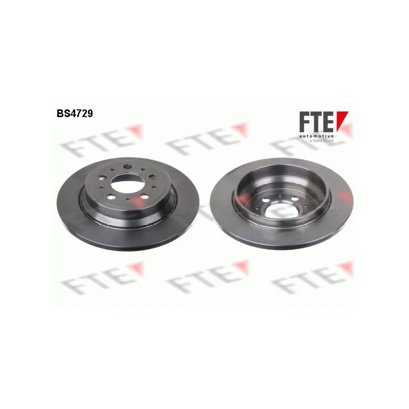 Jeu de 2 disques de frein arrière FTE BS4729
