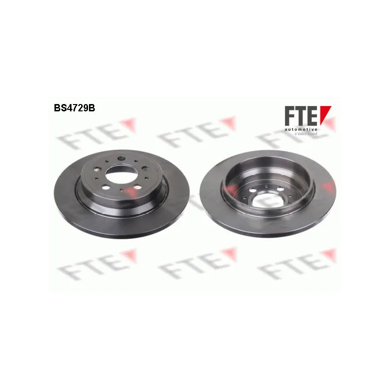 Jeu de 2 disques de frein arrière FTE BS4729B