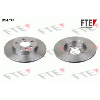 Jeu de 2 disques de frein arrière FTE BS4733
