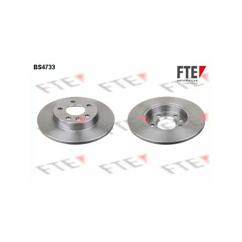 Jeu de 2 disques de frein arrière FTE BS4733