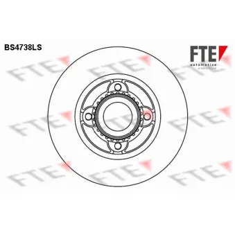 Jeu de 2 disques de frein arrière FTE BS4738LS