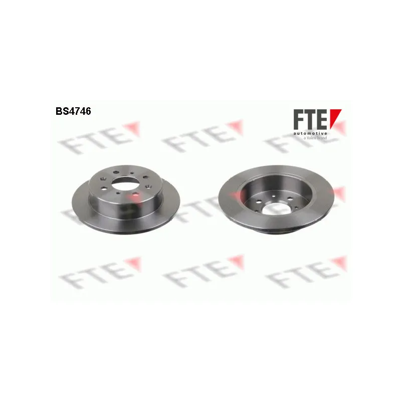 Jeu de 2 disques de frein arrière FTE BS4746