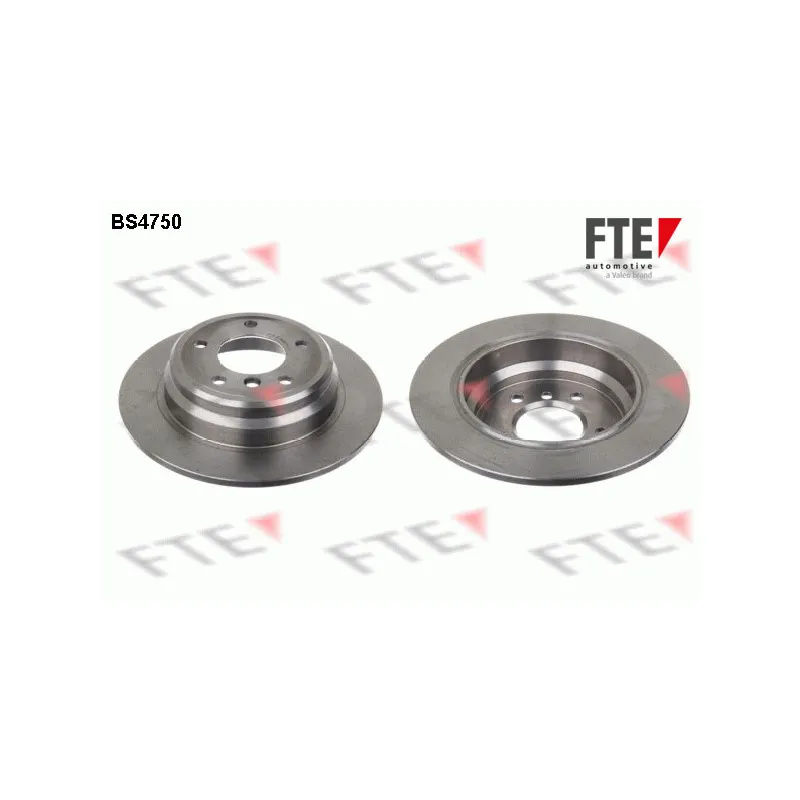 Jeu de 2 disques de frein arrière FTE BS4750