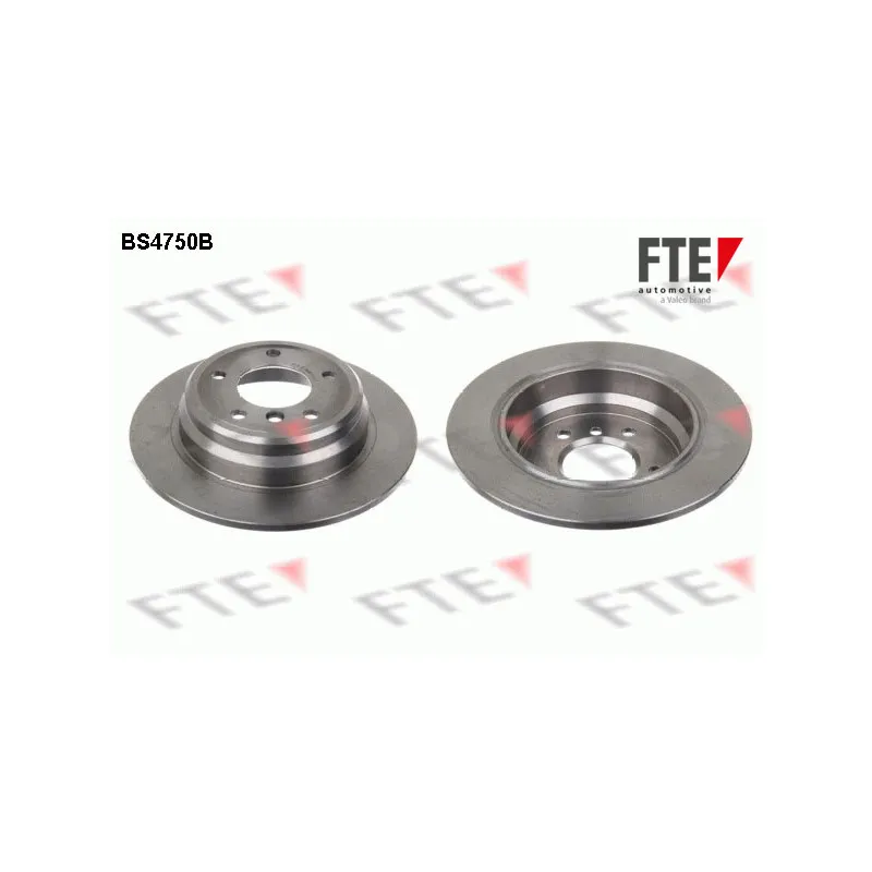 Jeu de 2 disques de frein arrière FTE BS4750B