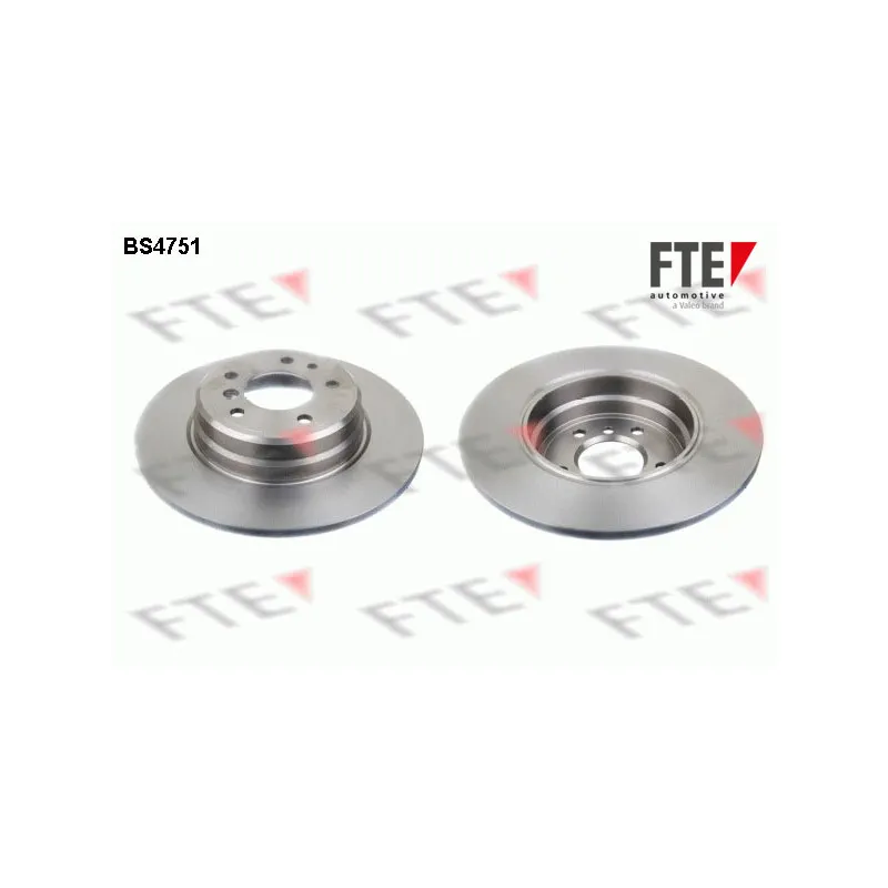 Jeu de 2 disques de frein arrière FTE BS4751