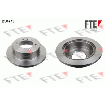 Jeu de 2 disques de frein arrière FTE BS4773
