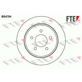Jeu de 2 disques de frein arrière FTE BS4784