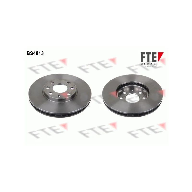 Jeu de 2 disques de frein avant FTE BS4813