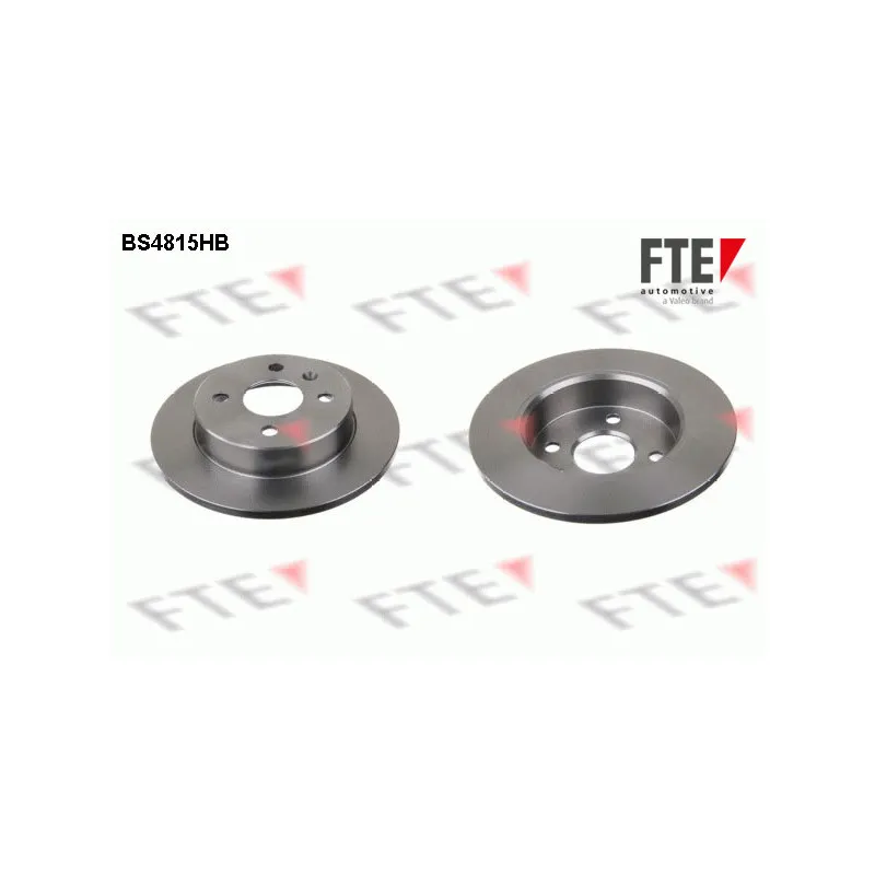 Jeu de 2 disques de frein arrière FTE BS4815HB