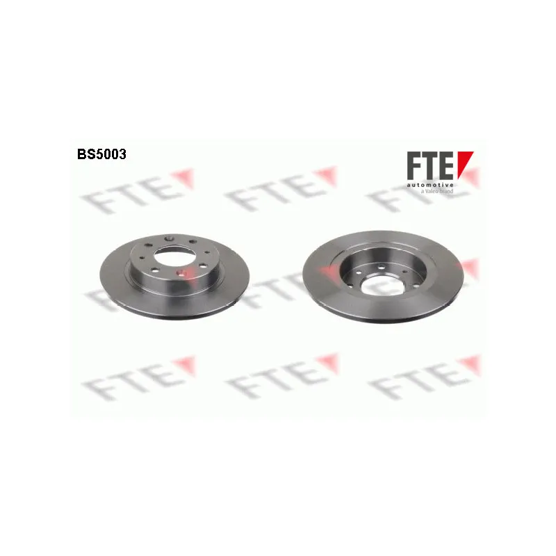 Jeu de 2 disques de frein arrière FTE BS5003