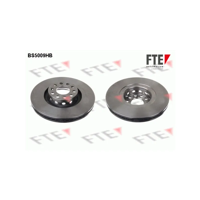 Jeu de 2 disques de frein avant FTE BS5009HB