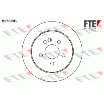Jeu de 2 disques de frein arrière FTE BS5058B