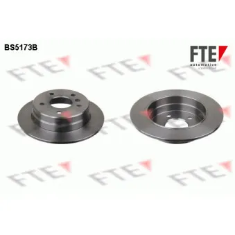 Jeu de 2 disques de frein arrière FTE BS5173B
