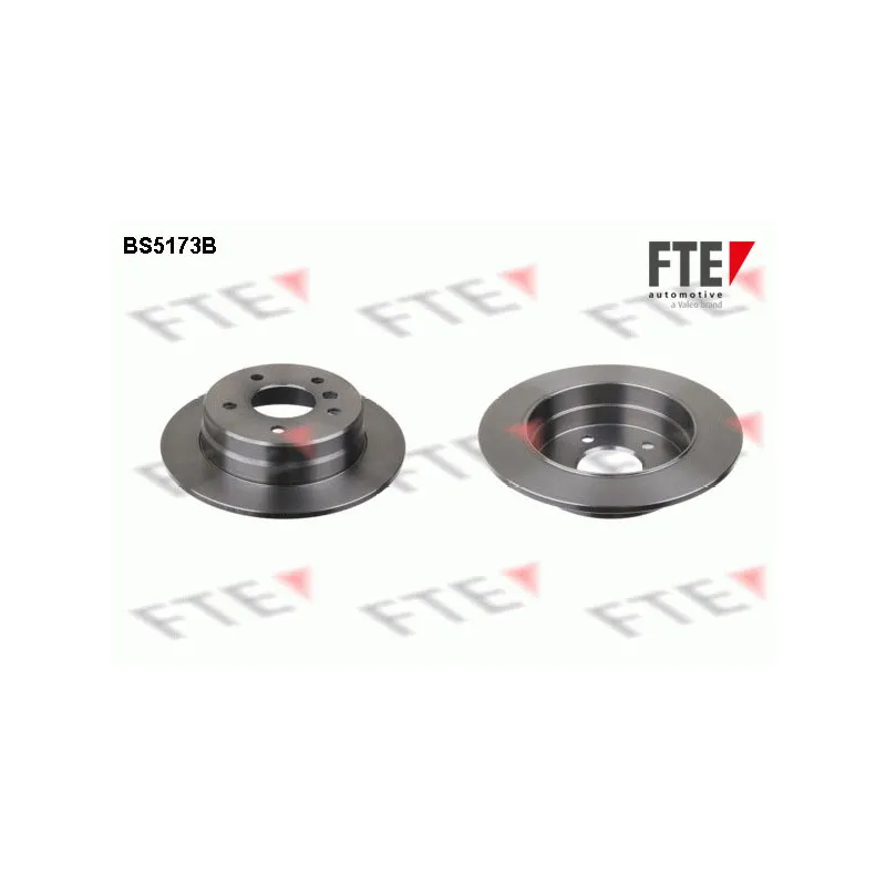 Jeu de 2 disques de frein arrière FTE BS5173B