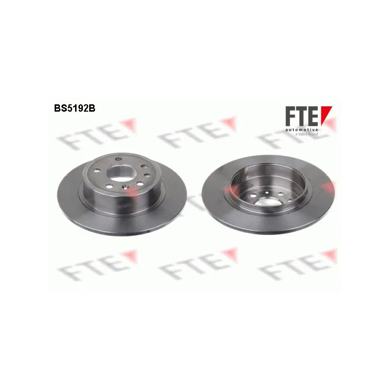Jeu de 2 disques de frein arrière FTE BS5192B
