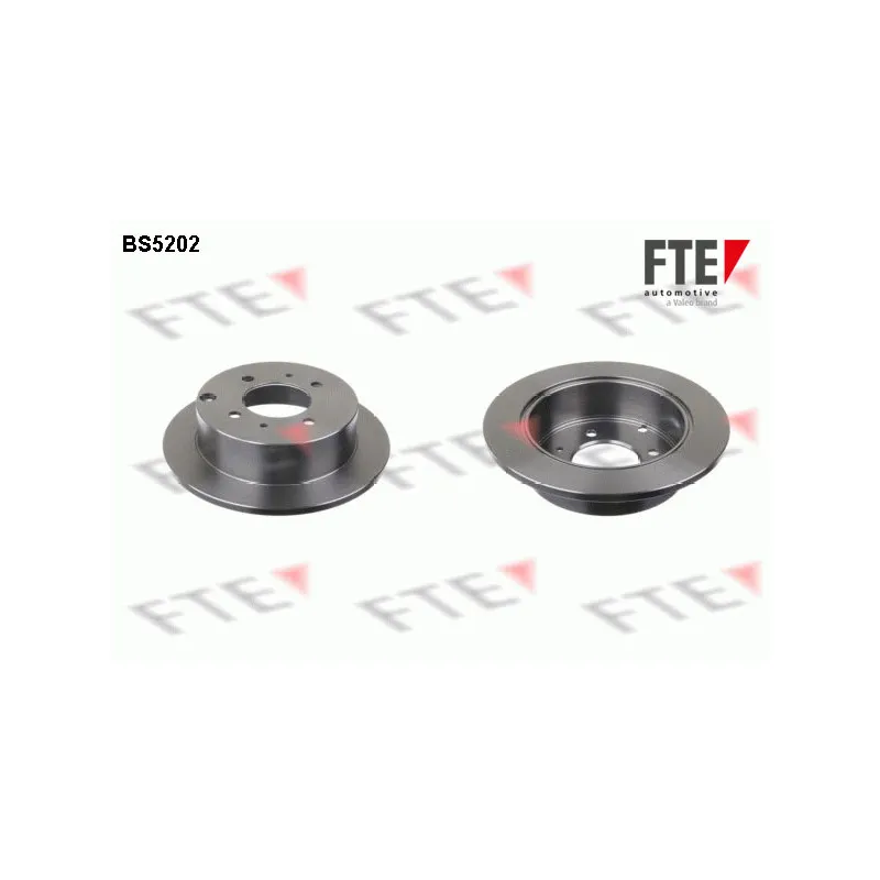 Jeu de 2 disques de frein arrière FTE BS5202