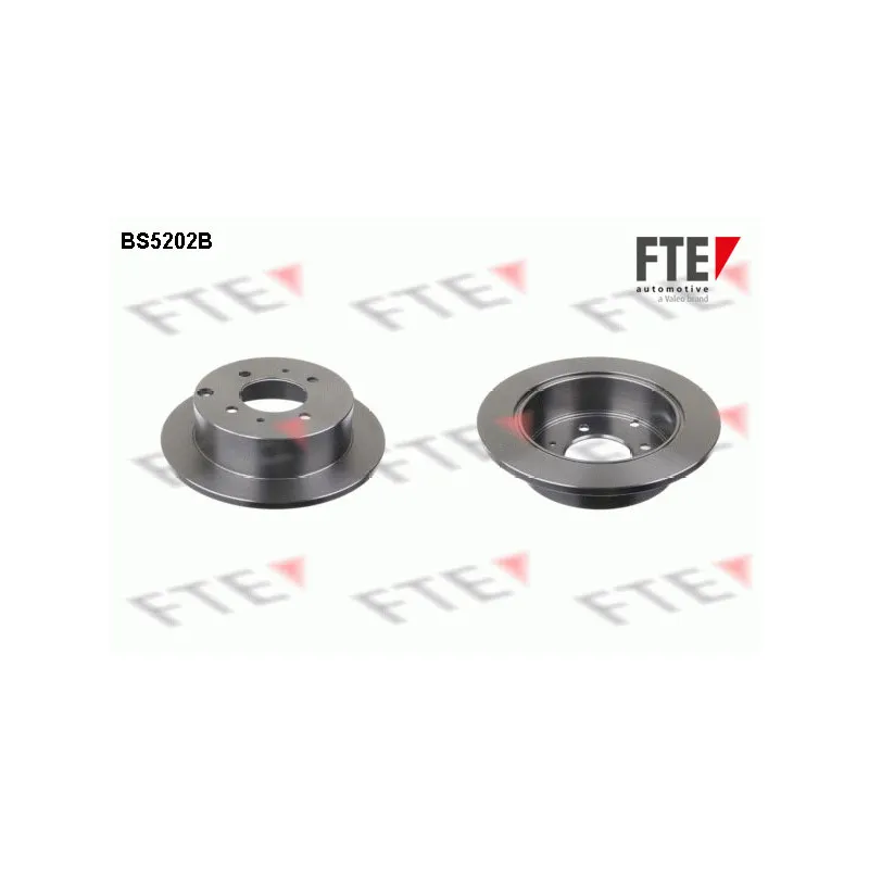 Jeu de 2 disques de frein arrière FTE BS5202B