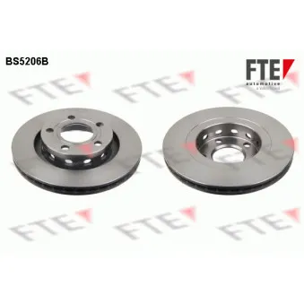 Jeu de 2 disques de frein arrière FTE BS5206B