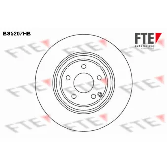Jeu de 2 disques de frein avant FTE BS5207HB