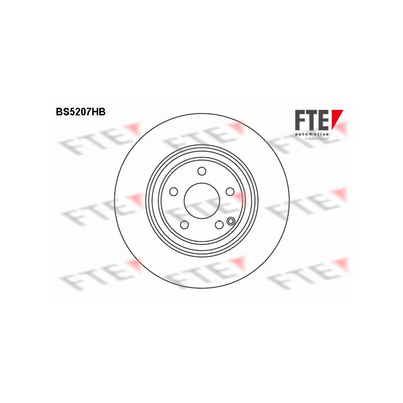 Jeu de 2 disques de frein avant FTE BS5207HB