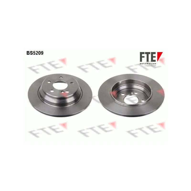 Jeu de 2 disques de frein arrière FTE BS5209