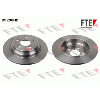 Jeu de 2 disques de frein arrière FTE BS5209HB