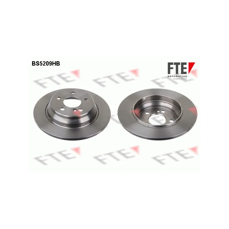 Jeu de 2 disques de frein arrière FTE BS5209HB