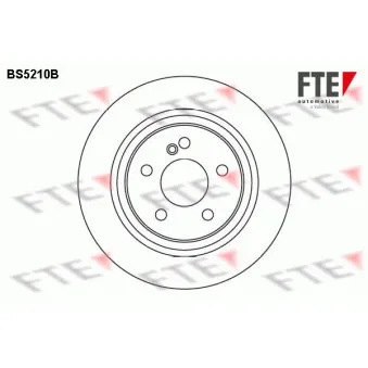 Jeu de 2 disques de frein arrière FTE BS5210B