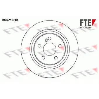 Jeu de 2 disques de frein arrière FTE BS5210HB