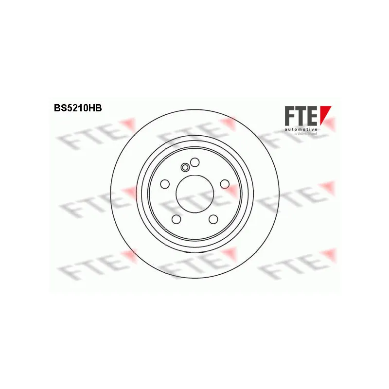 Jeu de 2 disques de frein arrière FTE BS5210HB