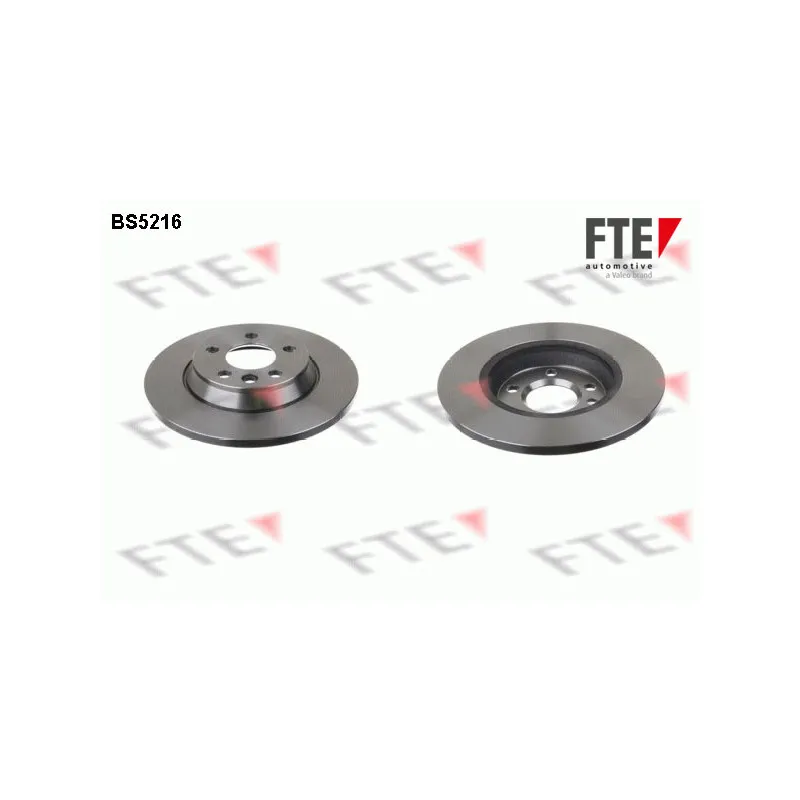 Jeu de 2 disques de frein arrière FTE BS5216