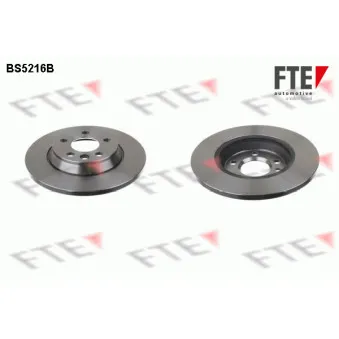 Jeu de 2 disques de frein arrière FTE BS5216B