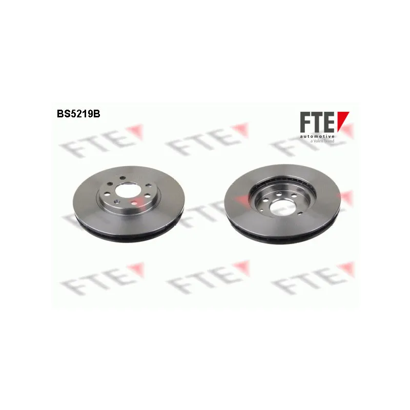 Jeu de 2 disques de frein avant FTE BS5219B