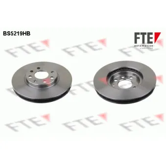 Jeu de 2 disques de frein avant FTE BS5219HB