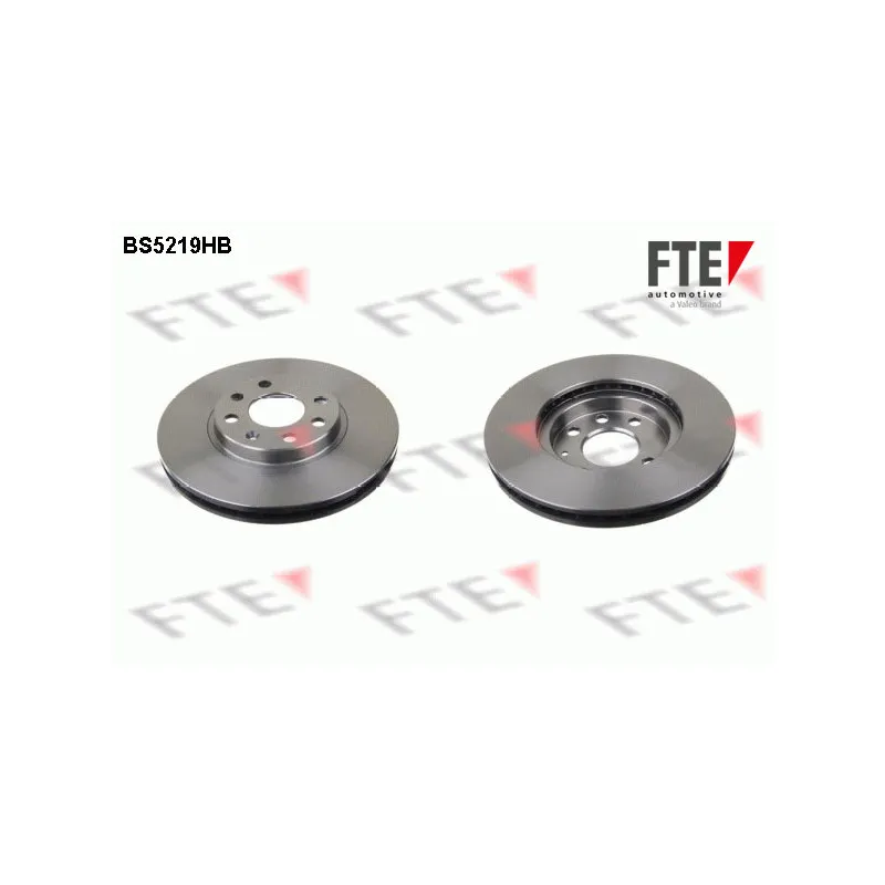 Jeu de 2 disques de frein avant FTE BS5219HB