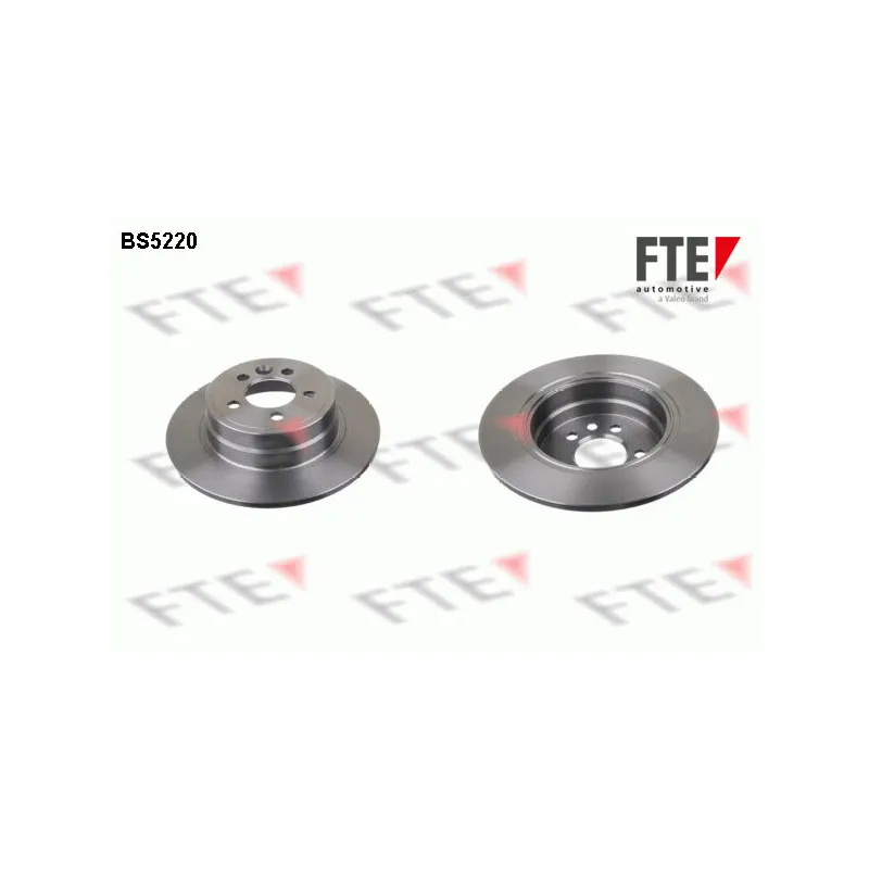 Jeu de 2 disques de frein arrière FTE BS5220