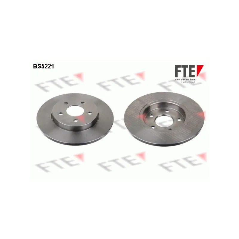 Jeu de 2 disques de frein arrière FTE BS5221