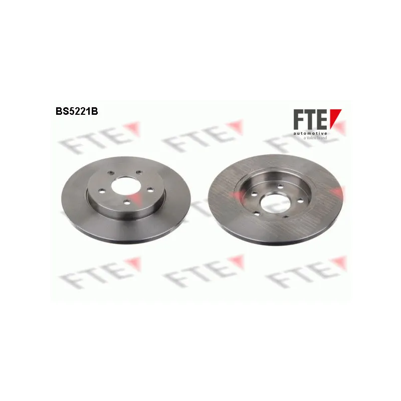 Jeu de 2 disques de frein arrière FTE BS5221B