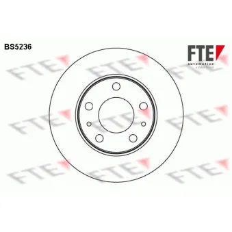 Jeu de 2 disques de frein arrière FTE BS5236
