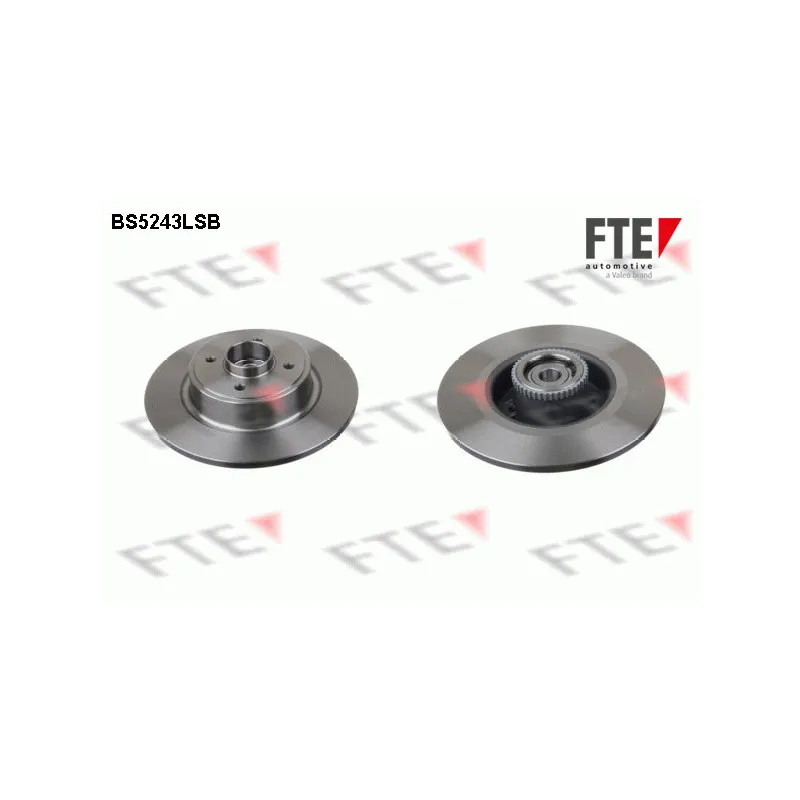Jeu de 2 disques de frein arrière FTE BS5243LSB