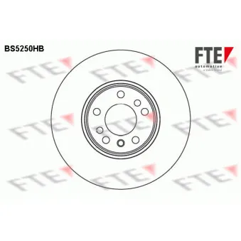 Jeu de 2 disques de frein avant FTE BS5250HB