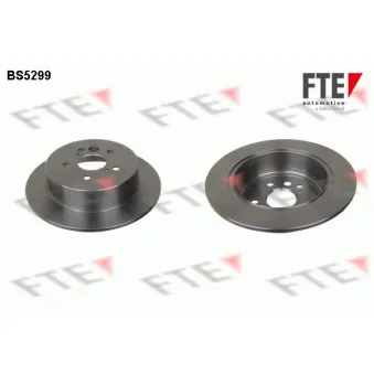 Jeu de 2 disques de frein arrière FTE BS5299