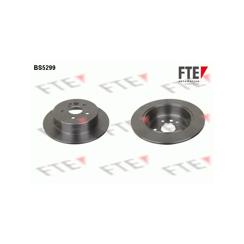 Jeu de 2 disques de frein arrière FTE BS5299